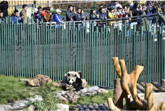 沈陽(yáng)森林動(dòng)物園